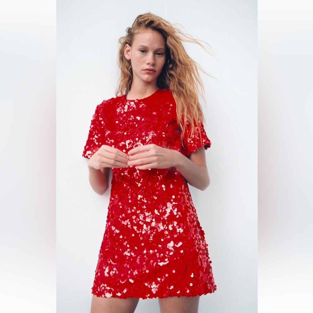 LIMITED EDITION ZARA DRESS